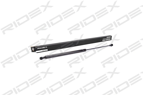 Gas Spring, boot/cargo area (219G0046)
