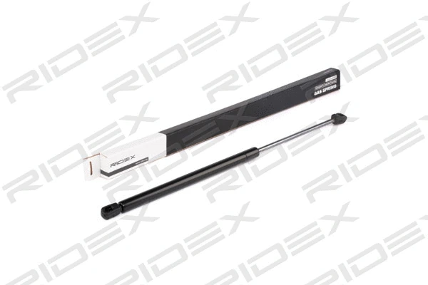 Gas Spring, boot/cargo area (219G0227)