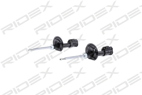Shock Absorber (854S1679)