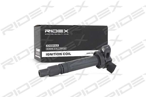Ignition Coil (689C0124)