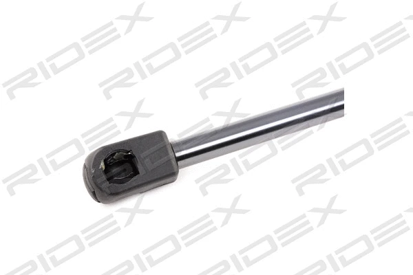 Gas Spring, boot/cargo area (219G0674)