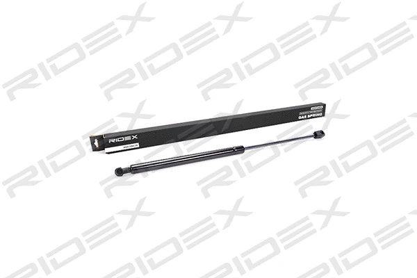 Gas Spring, boot/cargo area (219G0101)