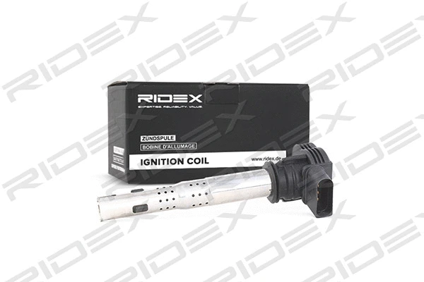 Ignition Coil (689C0019)