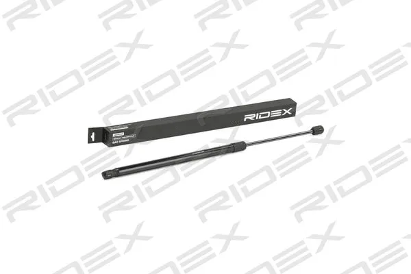 Gas Spring, boot/cargo area