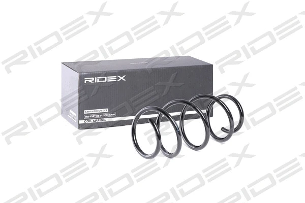 Suspension Spring