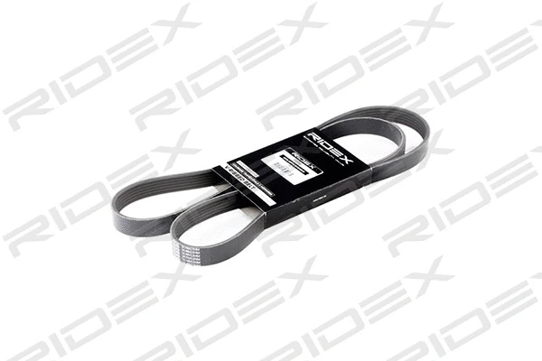 V-Ribbed Belt (305P0173)