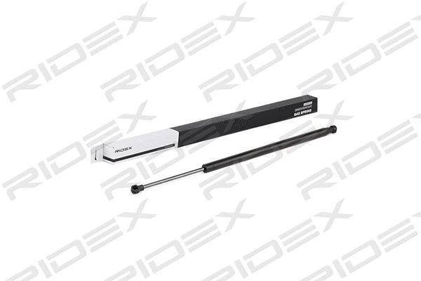 Gas Spring, boot/cargo area