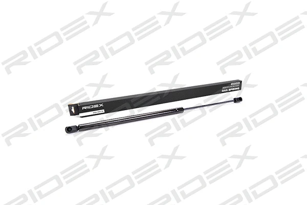 Gas Spring, boot/cargo area (219G0032)