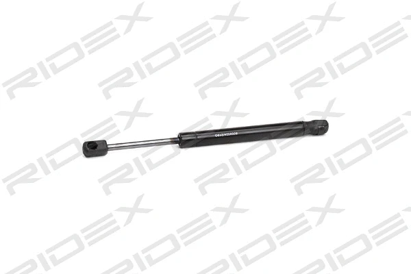 Gas Spring, boot/cargo area (219G0344)
