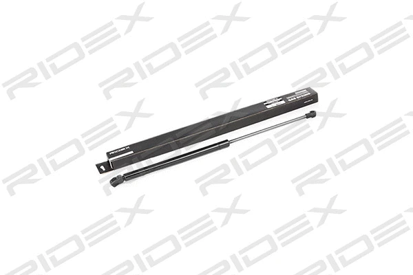Gas Spring, boot/cargo area (219G0014)