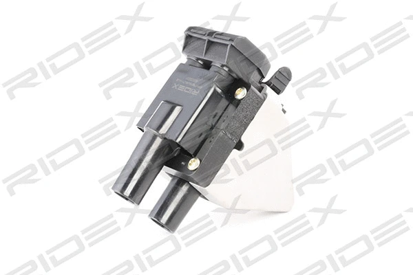 Ignition Coil (689C0231)