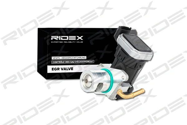 EGR Valve