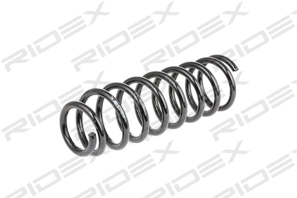 Suspension Spring (188C0134)
