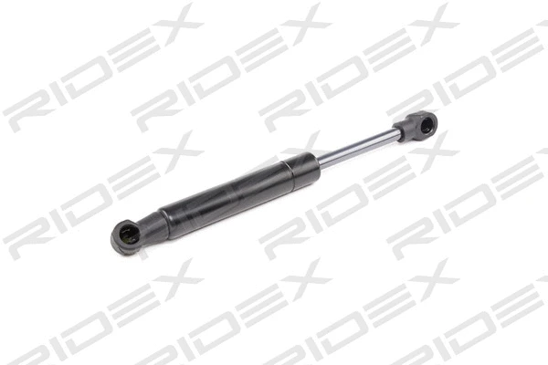 Gas Spring, boot/cargo area (219G0636)
