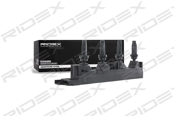 Ignition Coil (689C0256)