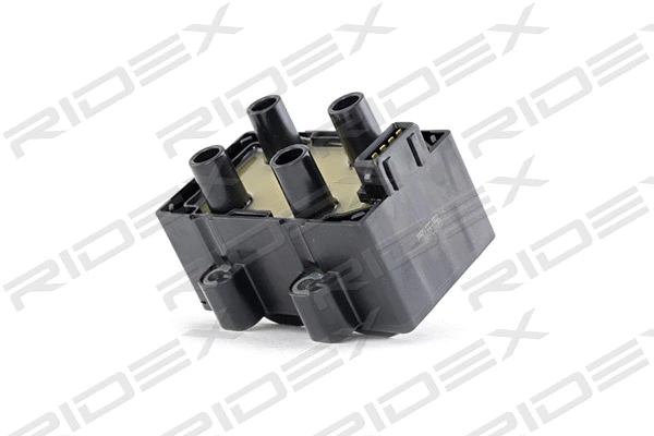Ignition Coil (689C0160)