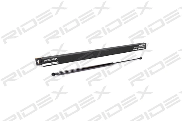 Gas Spring, boot/cargo area (219G0114)