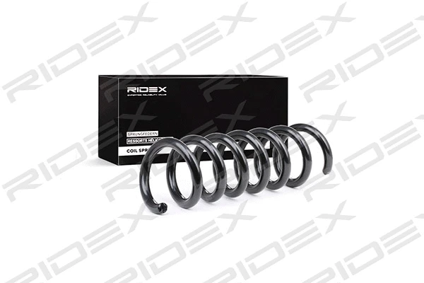 Suspension Spring (188C0261)
