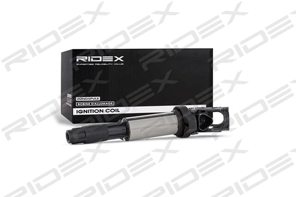 Ignition Coil (689C0005)