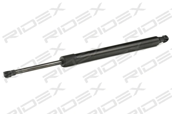 Gas Spring, boot/cargo area (219G0889)