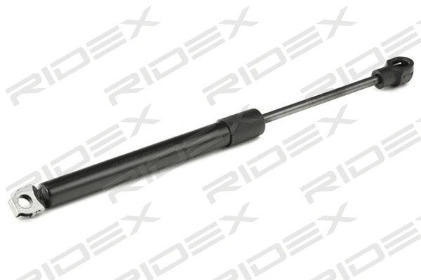 Gas Spring, boot/cargo area (219G0216)