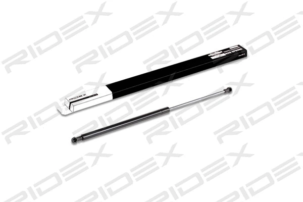 Gas Spring, boot/cargo area (219G0198)