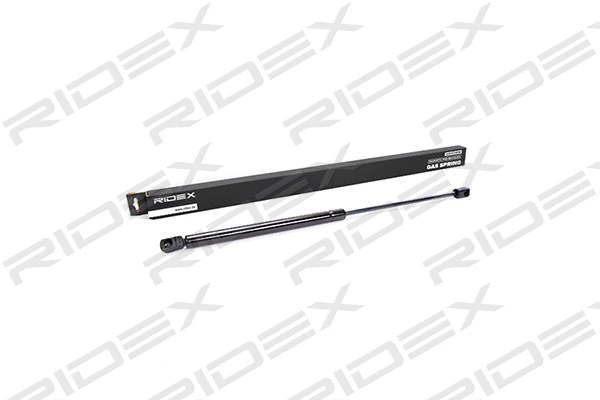 Gas Spring, boot/cargo area (219G0012)