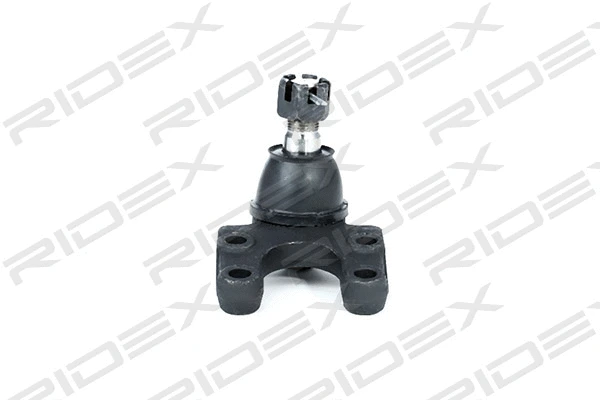 Ball Joint (2462S0144)
