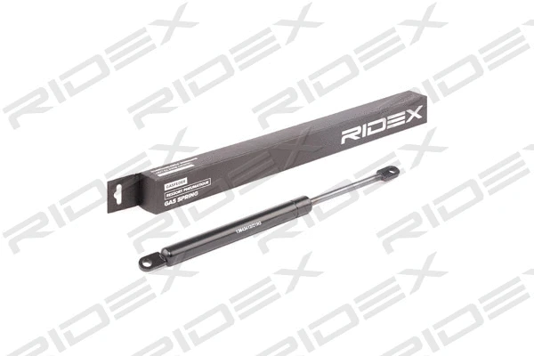 Gas Spring, boot/cargo area