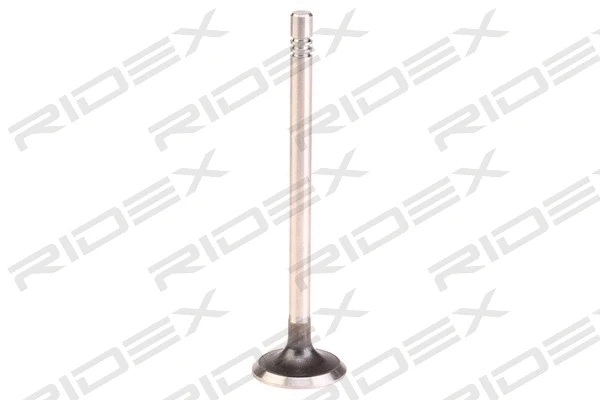 Exhaust Valve