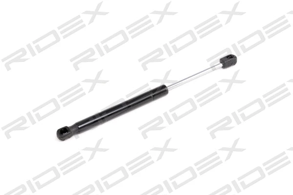 Gas Spring, boot/cargo area (219G0248)