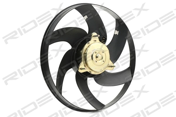 Fan, engine cooling