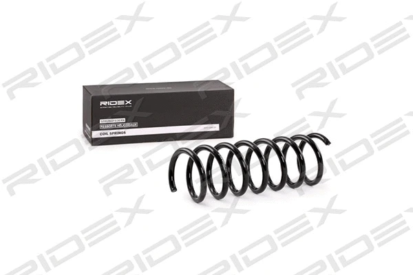 Suspension Spring (188C0379)