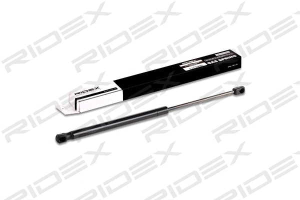 Gas Spring, boot/cargo area (219G0212)