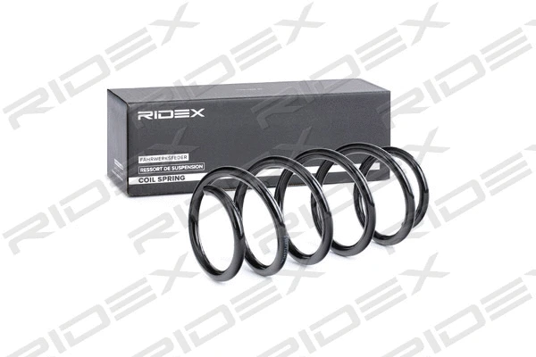 Suspension Spring (188C0485)