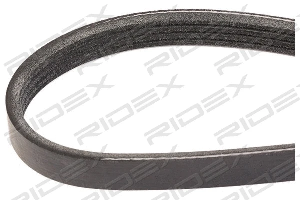 V-Ribbed Belt