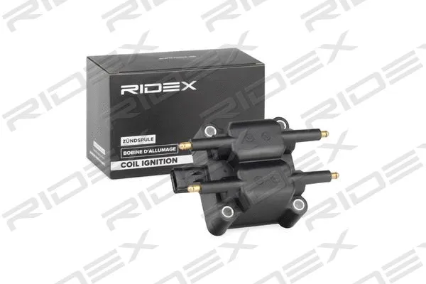 Ignition Coil (689C0240)