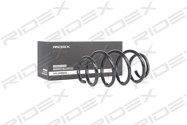 Suspension Spring (188C0365)