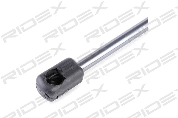 Gas Spring, boot/cargo area (219G0563)
