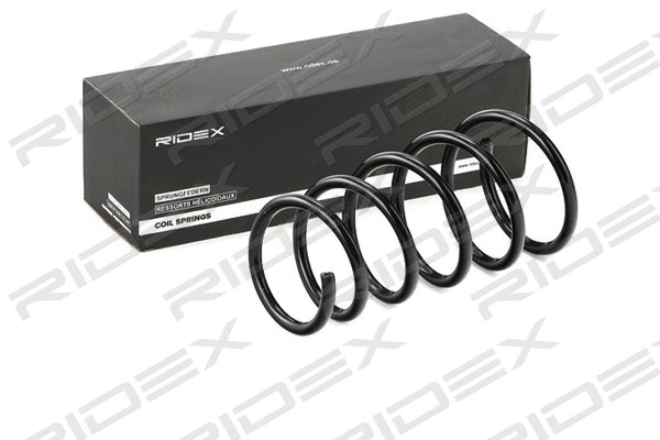Suspension Spring (188C0111)
