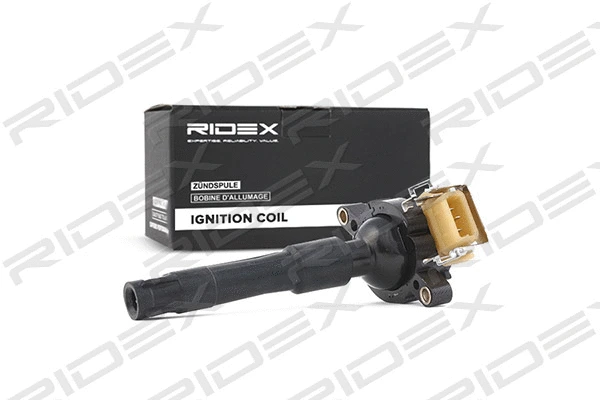 Ignition Coil (689C0024)