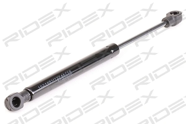 Gas Spring, boot/cargo area (219G0740)