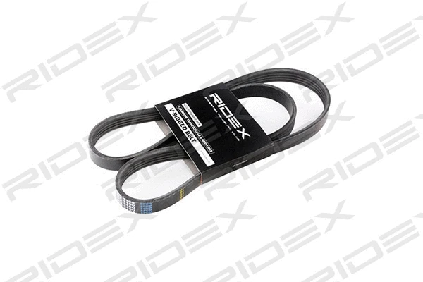 V-Ribbed Belt (305P0033)