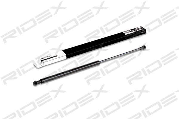 Gas Spring, boot/cargo area (219G0118)