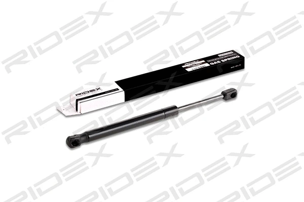 Gas Spring, boot/cargo area (219G0203)