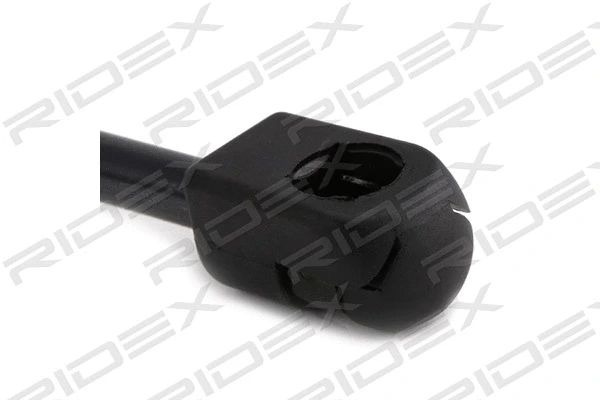 Gas Spring, boot/cargo area (219G0407)