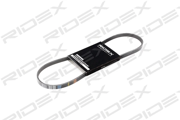V-Ribbed Belt (305P0019)