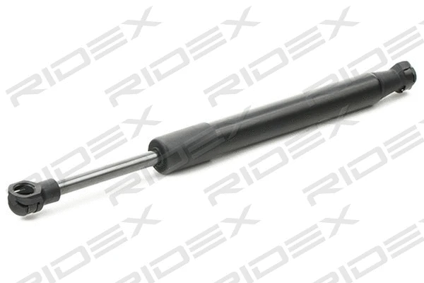 Gas Spring, boot/cargo area (219G0907)