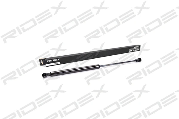 Gas Spring, boot/cargo area (219G0075)