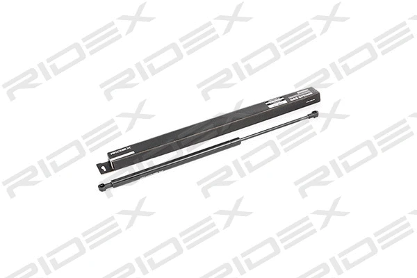 Gas Spring, boot/cargo area (219G0180)